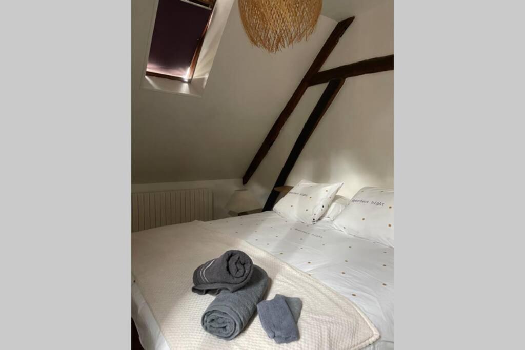 Appartement «La Vie Est Belle» Au Coeur De Sezanne Bagian luar foto